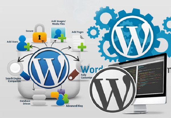 Wordpress là một trong những mã nguồn mở được nhiều người dùng nhất hiện nay